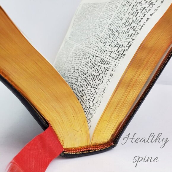 Holy Bible New Catholic Edition Illustrated Vintage 1954 Gold Gilded Leather - Picture 4 of 10